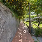 Antica