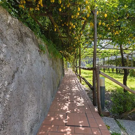 Antica